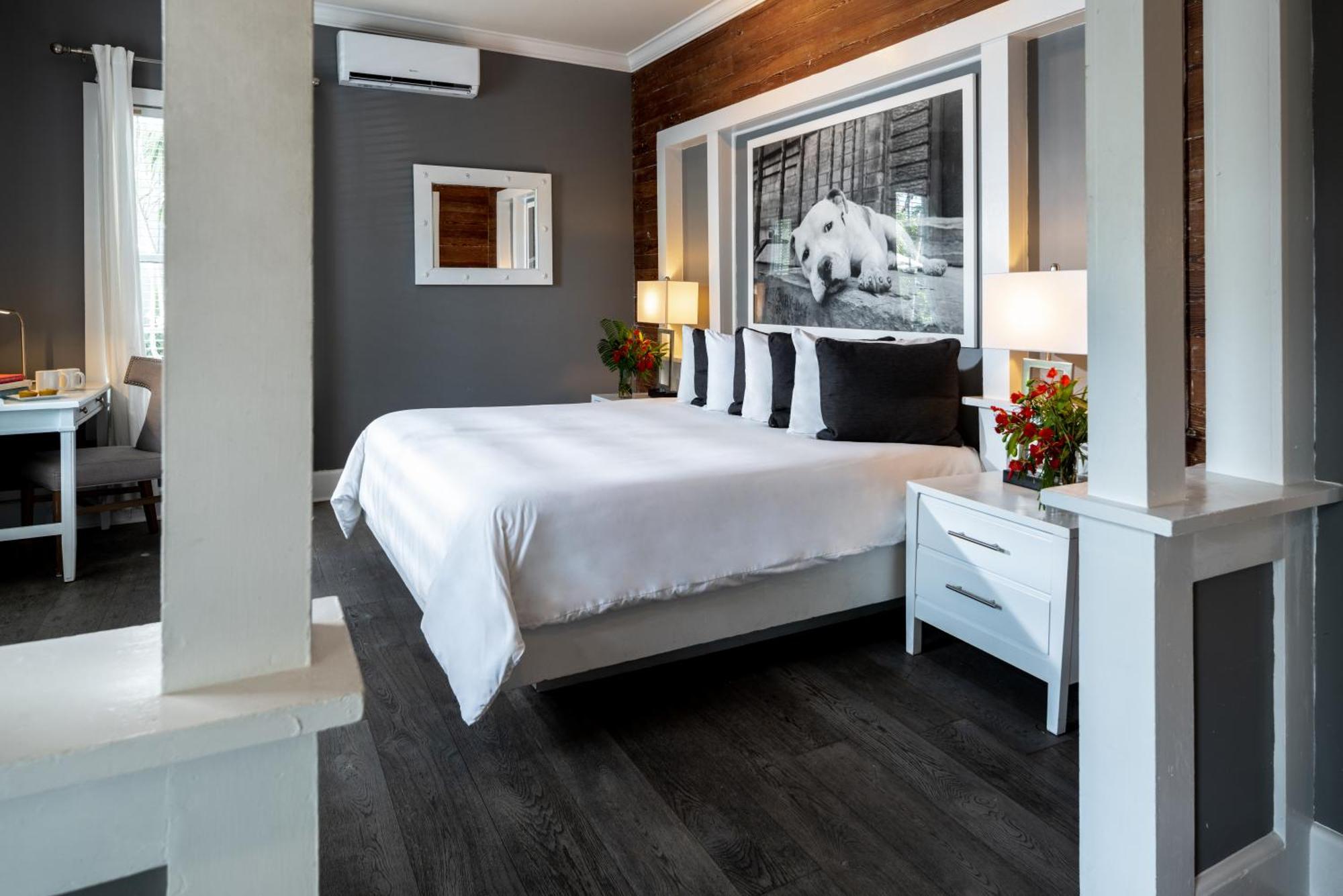 Alexander'S Guesthouse-Adult Exclusive, Lgbtq Friendly Key West Rum bild