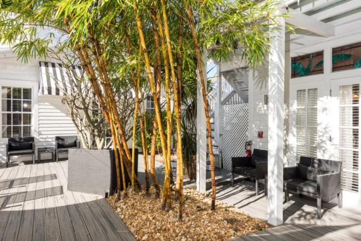 Alexander'S Guesthouse-Adult Exclusive, Lgbtq Friendly Key West Rum bild